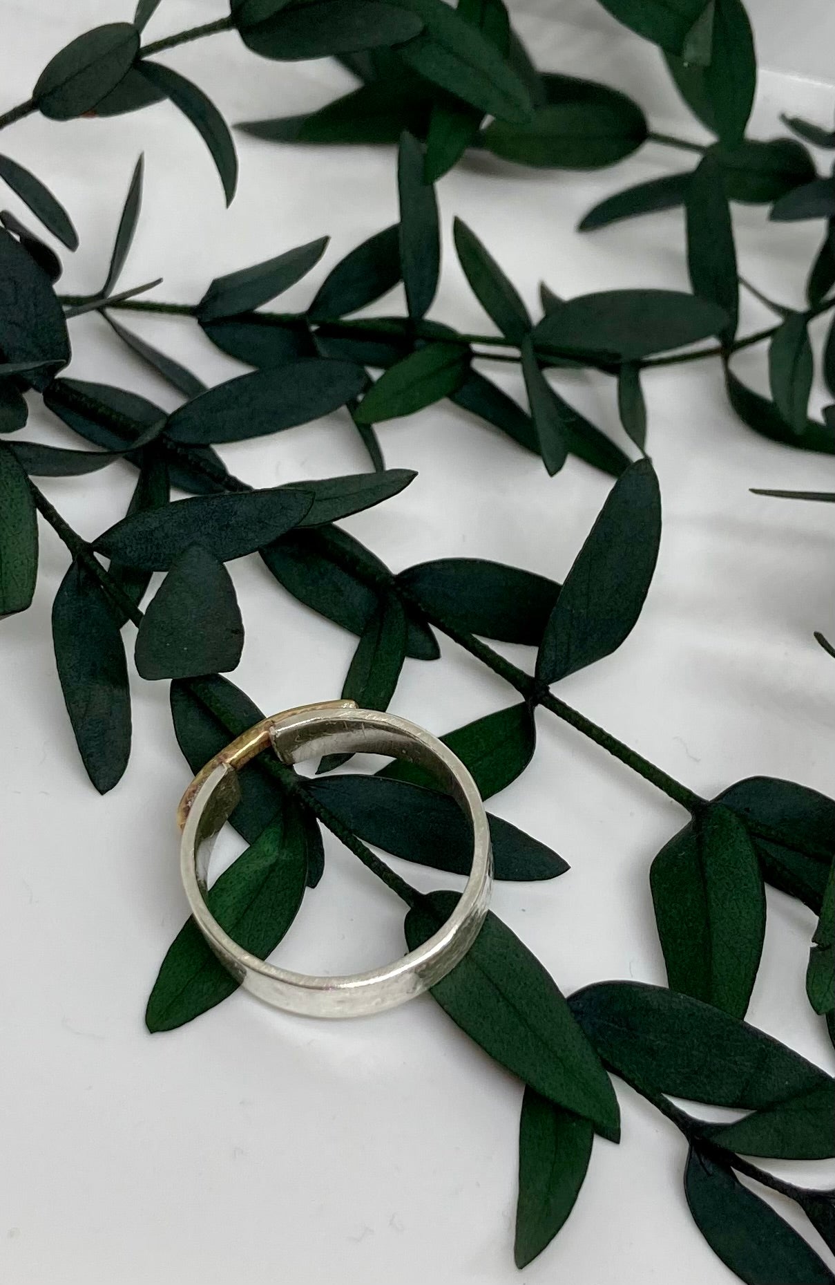Silver & Brass Ring